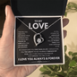 To My Love Necklace - Gift for Wife | Girlfriend | Fiancé | Partner